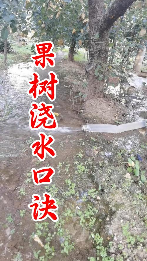 果树花期能浇水吗，果树花期可以剪枝吗-第2张图片-优品飞百科