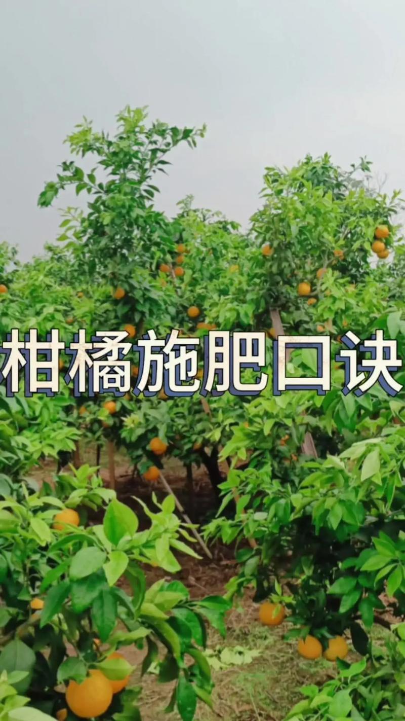 果树花期能浇水吗，果树花期可以剪枝吗-第3张图片-优品飞百科