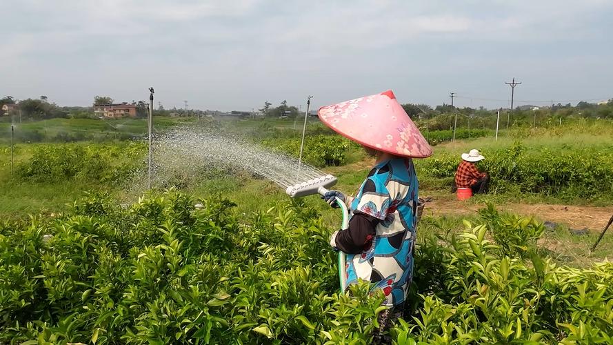 果树花期能浇水吗，果树花期可以剪枝吗-第6张图片-优品飞百科