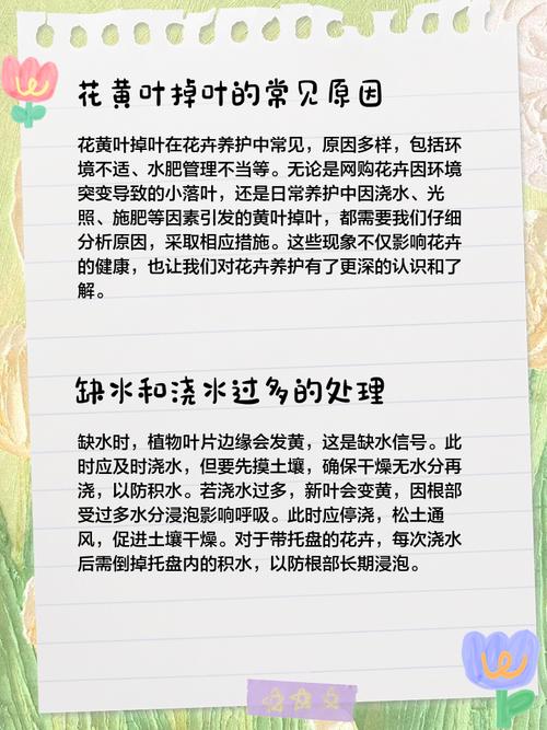 太阳花黄叶的原因和处理办法，太阳花的叶子黄了怎么办？