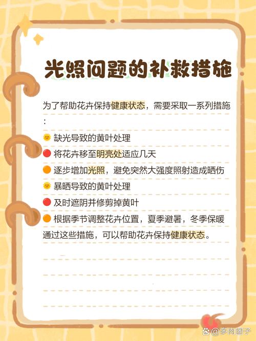 太阳花黄叶的原因和处理办法，太阳花的叶子黄了怎么办？-第2张图片-优品飞百科
