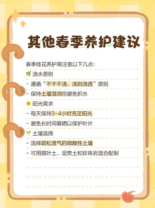 桂花快开花要不要施肥？桂花要开花了怎样浇水施肥?？-第5张图片-优品飞百科