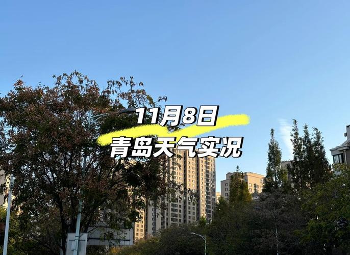 青岛天气预报全天查询最新，青岛天气预报一周7天10天15天-第4张图片-优品飞百科