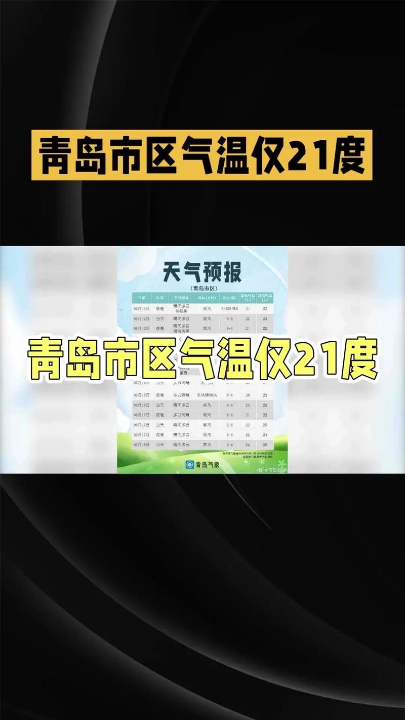 青岛天气预报全天查询最新，青岛天气预报一周7天10天15天-第5张图片-优品飞百科