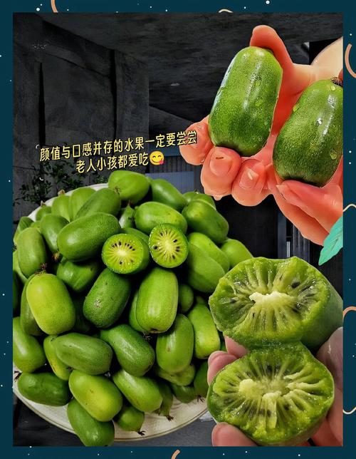 软枣猕猴桃和猕猴桃的区别，是野生的吗？软枣猕猴桃是枣和猕猴桃的杂交嘛？-第1张图片-优品飞百科