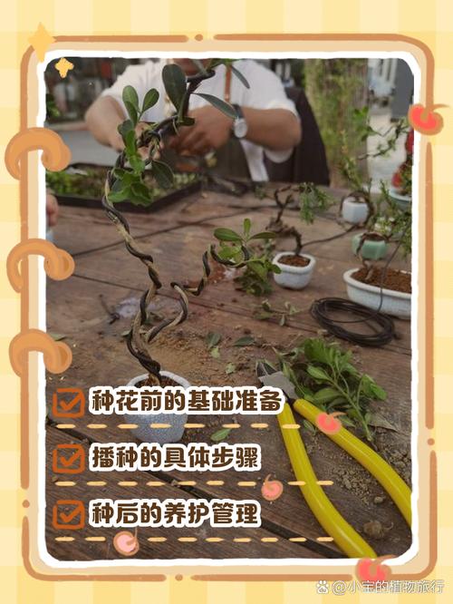 龙面花的养殖方法和注意事项，龙面花的花期多长-第6张图片-优品飞百科