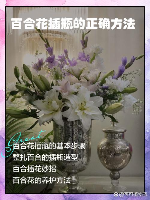 百合花怎么养才不死，百合花怎么养花期更长？-第3张图片-优品飞百科