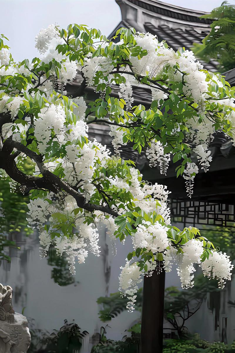 莆田适合养什么花，市花和市树是什么？莆田哪里花多？-第3张图片-优品飞百科