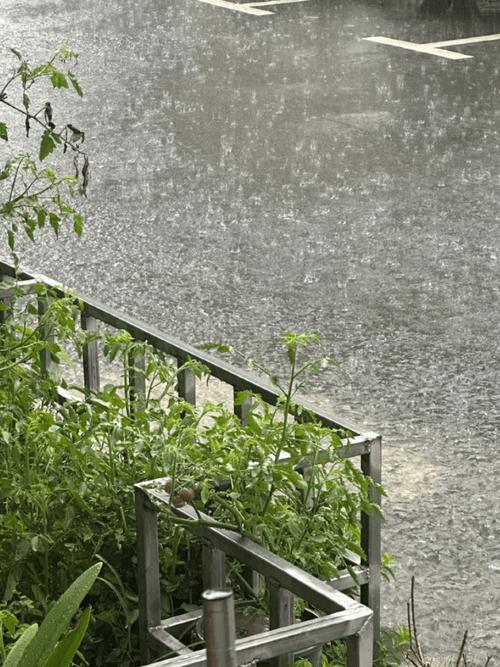 上海浦东新区川沙一周天气预报？上海市川沙地区天气预报？-第2张图片-优品飞百科