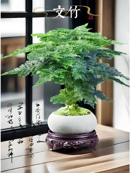 阳台上放什么植物能生旺挡煞？阳台放什么植物旺财？-第4张图片-优品飞百科