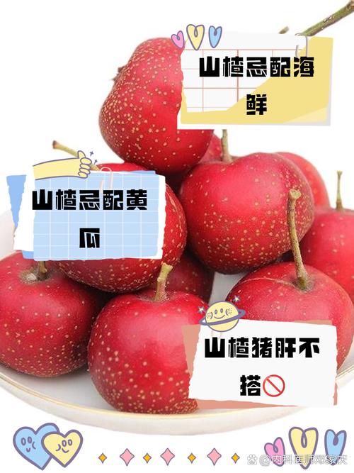 山楂和什么食物相克，吃山楂的注意事项？山楂和什么相克的东西？-第5张图片-优品飞百科