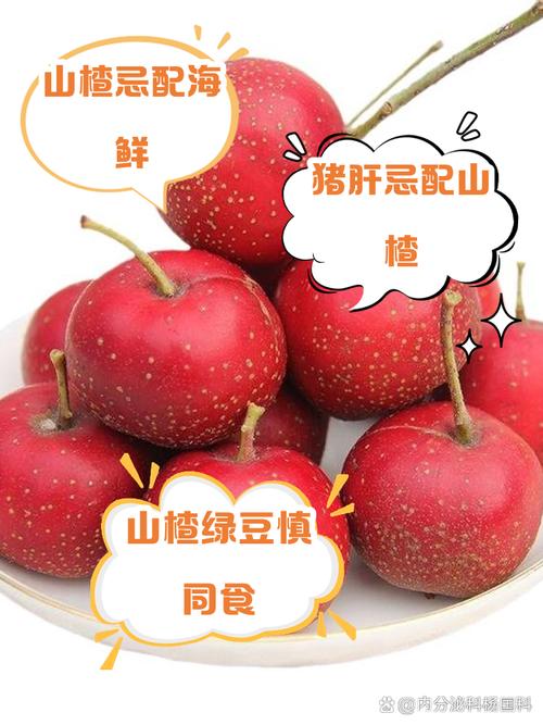 山楂和什么食物相克，吃山楂的注意事项？山楂和什么相克的东西？-第7张图片-优品飞百科