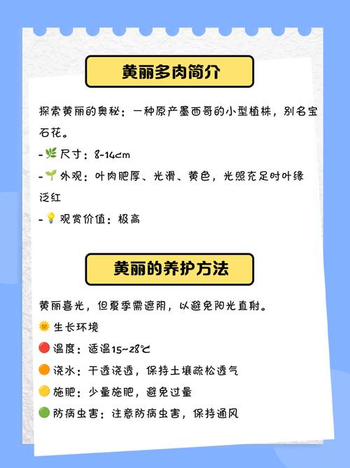 黄丽叶子发、黄腐烂怎么办，黄丽叶子全变红-第7张图片-优品飞百科
