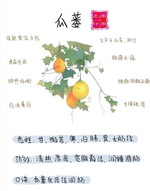 葫芦的功效与作用，葫芦的风水作用和摆放位置-第5张图片-优品飞百科