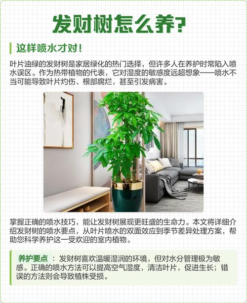 如何养好发财树，如何养好发财树,让它根壮叶绿,四季常青？-第3张图片-优品飞百科