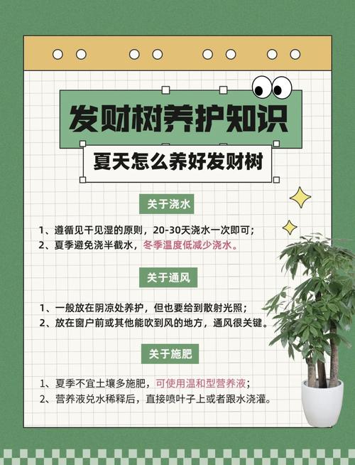 如何养好发财树，如何养好发财树,让它根壮叶绿,四季常青？-第4张图片-优品飞百科