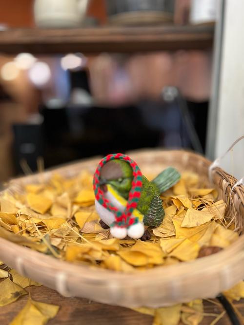 圣诞树是什么树，象征什么，圣诞树其实是什么树