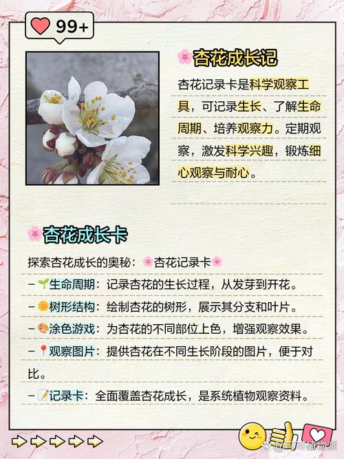 杏花的养殖方法和注意事项？杏花的种植知识？-第2张图片-优品飞百科