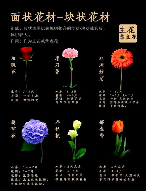 假叶树的养殖方法和注意事项，假叶树栽培？-第5张图片-优品飞百科
