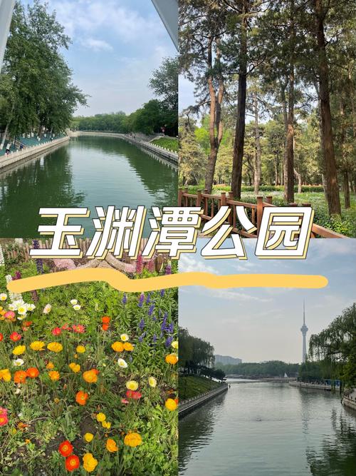 明天北京玉渊潭天气，明天北京玉渊潭天气预报？-第2张图片-优品飞百科