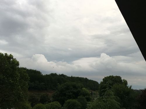 天气预告靖安天气？天气预告靖安天气情况？