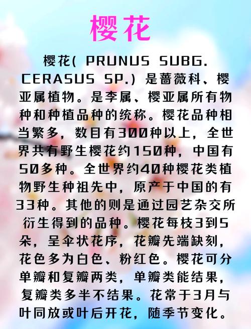 樱花代表什么含义，问一下樱花代表什么意思-第4张图片-优品飞百科