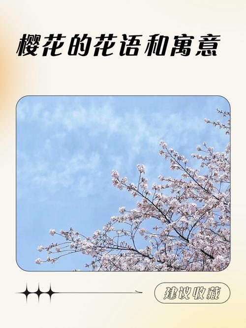 樱花代表什么含义，问一下樱花代表什么意思-第6张图片-优品飞百科