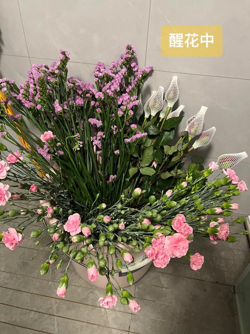 康乃馨多少钱一朵？康乃馨费用多少钱一束？-第4张图片-优品飞百科