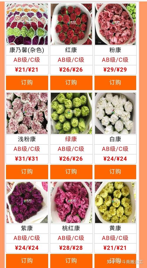 康乃馨多少钱一朵？康乃馨费用多少钱一束？-第5张图片-优品飞百科