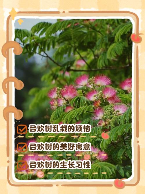 家里能不能种合欢树，家里种合欢有什么说法-第2张图片-优品飞百科