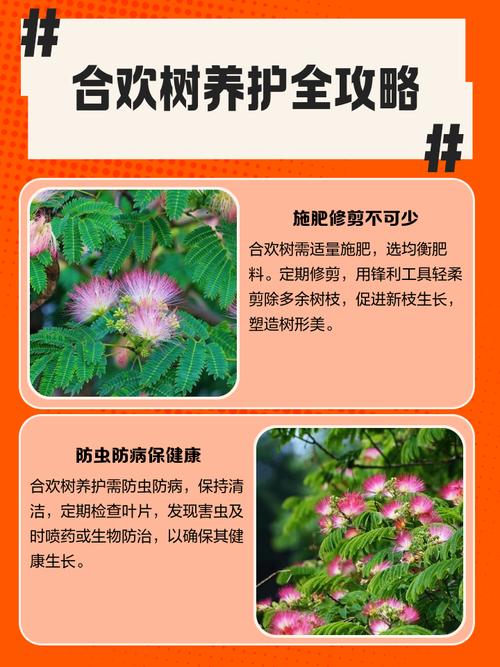 家里能不能种合欢树，家里种合欢有什么说法-第8张图片-优品飞百科