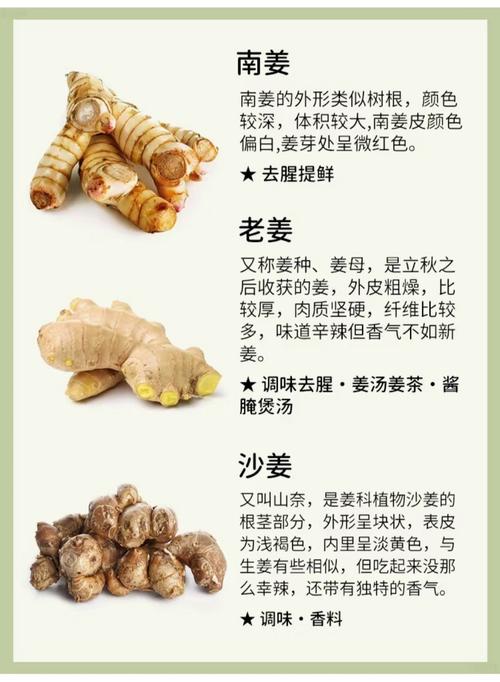 姜的主要品种，姜的品种有哪些图片-第6张图片-优品飞百科