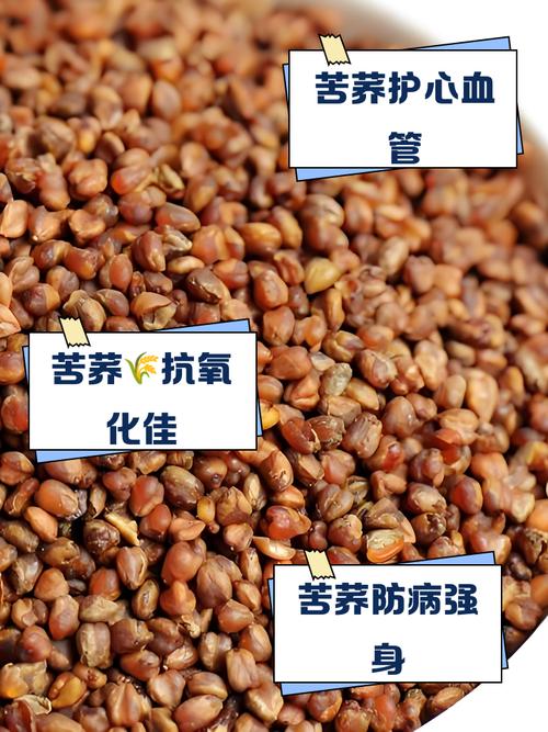 苦荞麦的养殖方法，苦荞麦的种植技术和时间？-第3张图片-优品飞百科