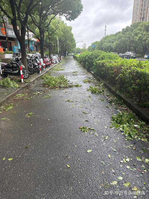 上海天气青浦天气预报？上海天气青浦天气预报24小时？-第6张图片-优品飞百科