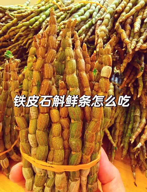 石斛的功效与作用，石斛怎么吃，石斛的作用和食用方法及费用