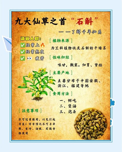 石斛的功效与作用，石斛怎么吃，石斛的作用和食用方法及费用-第2张图片-优品飞百科