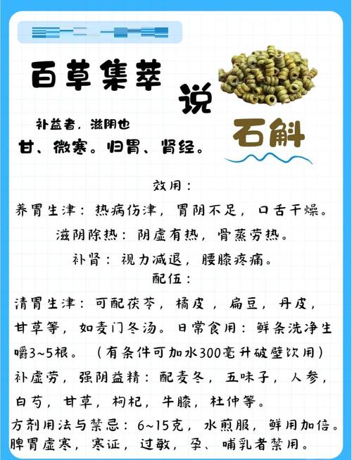 石斛的功效与作用，石斛怎么吃，石斛的作用和食用方法及费用-第5张图片-优品飞百科