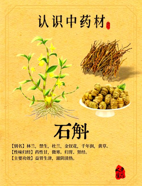 金钗石斛怎么吃？金钗石斛怎么吃是正确的？-第2张图片-优品飞百科