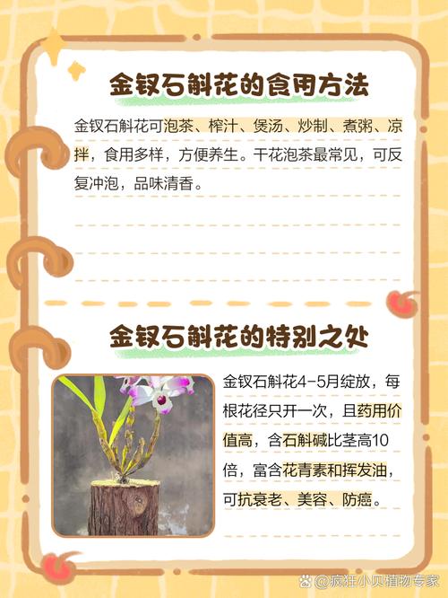 金钗石斛怎么吃？金钗石斛怎么吃是正确的？-第3张图片-优品飞百科