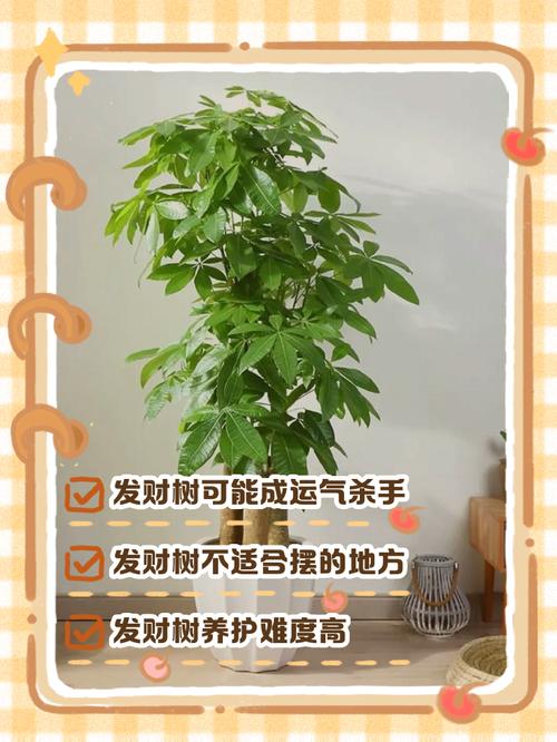 树上掉下来个种子，我捡回家，结果发财了，树上会掉下来什么虫-第3张图片-优品飞百科
