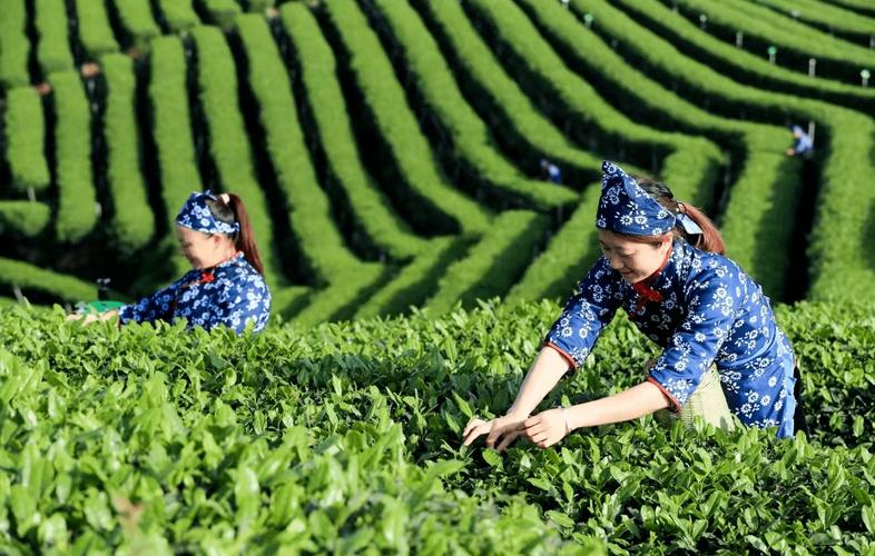 天气杭州富阳天气，杭州富阳天气预报30天准确？-第4张图片-优品飞百科