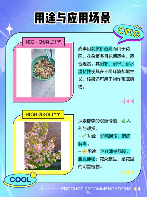 郁李和麦李的区别，麦李郁李欧李区别