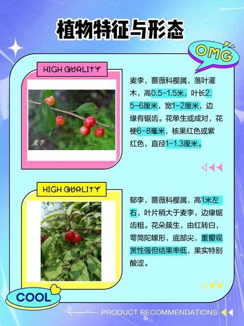 郁李和麦李的区别，麦李郁李欧李区别-第5张图片-优品飞百科