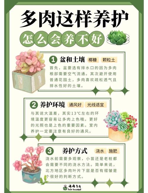 若绿的家庭养殖和注意事项？若绿能长多大？-第4张图片-优品飞百科
