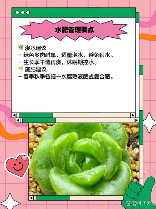 若绿的家庭养殖和注意事项？若绿能长多大？-第6张图片-优品飞百科