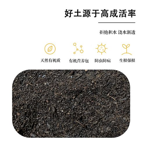盆栽腊梅用什么土？盆栽腊梅用什么土种植？-第4张图片-优品飞百科