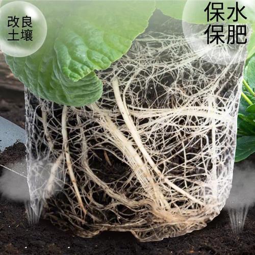 盆栽腊梅用什么土？盆栽腊梅用什么土种植？-第5张图片-优品飞百科