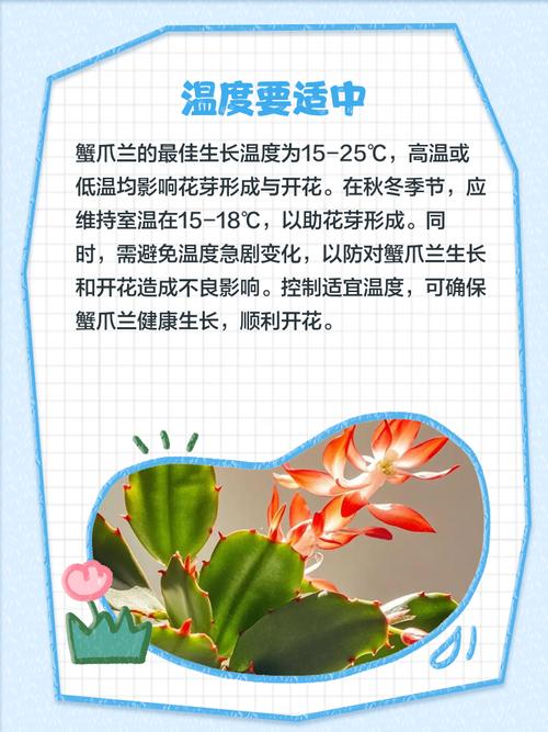 蟹脚兰为什么不开花，蟹脚兰为什么会烂根？