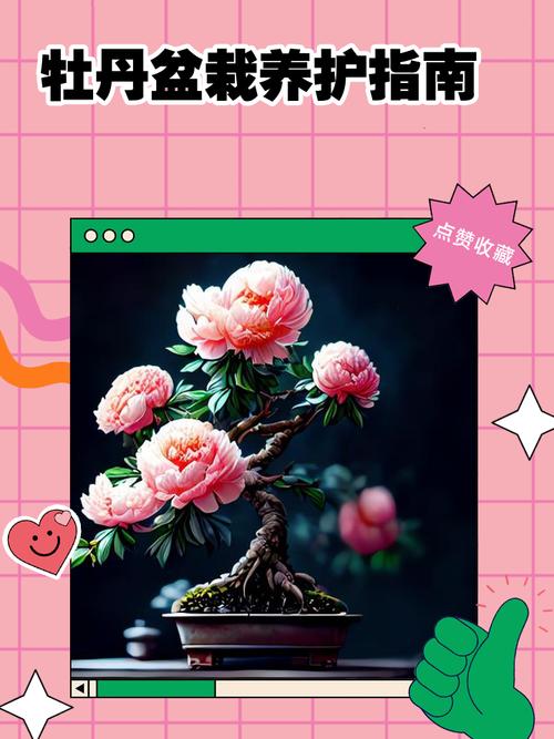 牡丹花能放在卧室养吗，牡丹花能放在卧室养吗有毒吗？-第6张图片-优品飞百科