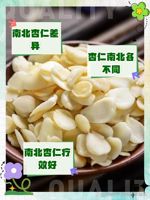 银杏和杏仁有什么区别，银杏和杏仁有什么区别图片？